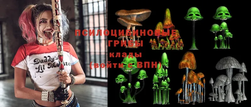 как найти наркотики  hydra рабочий сайт  Галлюциногенные грибы MAGIC MUSHROOMS  даркнет состав  Переславль-Залесский 